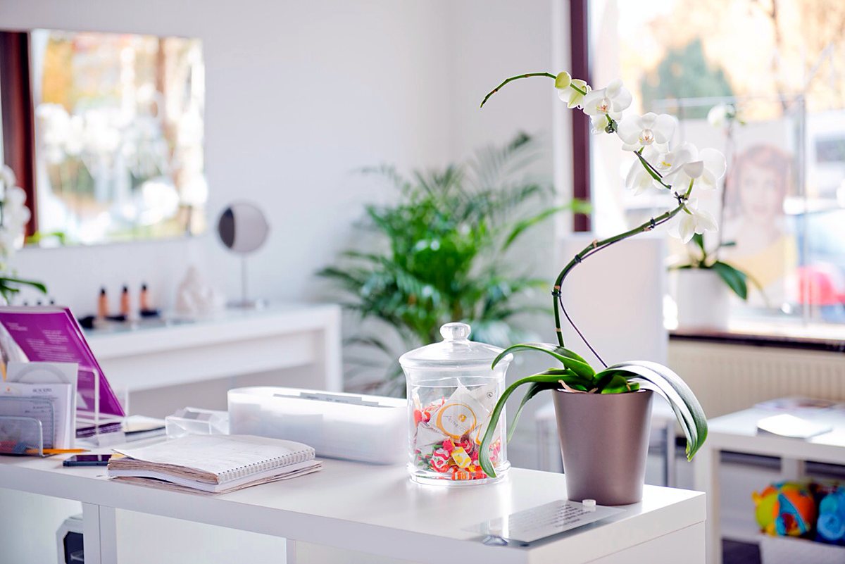 Studio-Ambiente